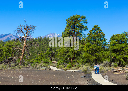 Elderly couple on the Lava Flow Trail at Sunset Crater Volcano National Monument, near Flagstaff, Arizona, USA Stock Photo