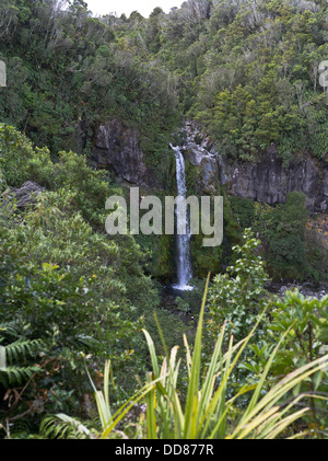 dh Dawson Falls TARANAKI NEW ZEALAND Waterfall Egmont National Park stream down Mount Taranaki water fall Stock Photo