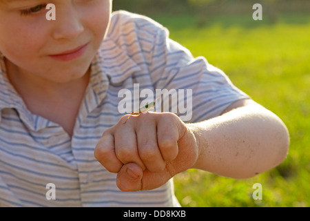 young boy looking at a grasshopper on his hand Stock Photo