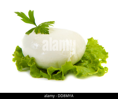 peaces of mozzarella cheese on lettuce leaf Stock Photo