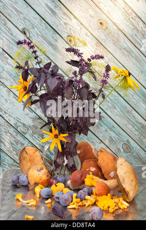 basil, dill and cone flowers bouquet still life with mushrooms Stock Photo