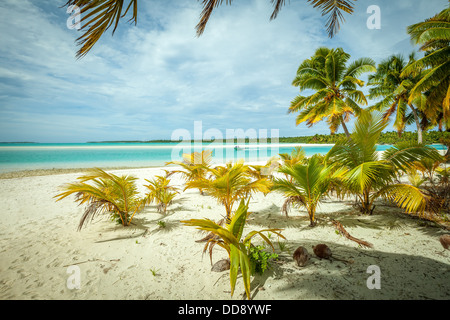 A motor boat cruises the sea in front of One Foot Island sandy beach, Aitutaki Lagoon - Cook Islands Stock Photo