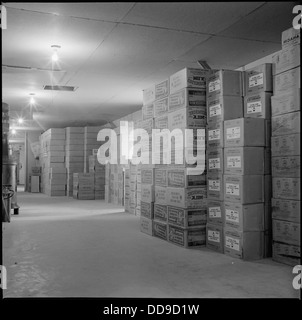 Heart Mountain Relocation Center, Heart Mountain, Wyoming. Scene in the warehouse at the Heart Moun . . . - - 539479 Stock Photo