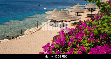 Beach at Savita Hotel in Sharm Egypt/Red Sea Hotels Stock Photo