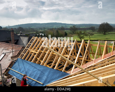 self building house, constructing roof, starting to fix breathable roof membrane and laths onto roof trusses Stock Photo