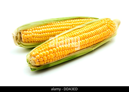 Ears of maize on a white background Stock Photo