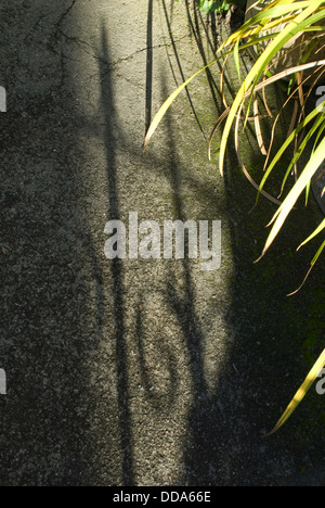 Long grass and ornate shadows of railings cast on the ground in strong sunlight. Stock Photo