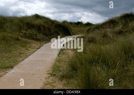 Timber boardwalk path winding past coastal sand dunes & grasses on edge of Holkham Beach nature reserve, under grey cloudy sky - Norfolk, England, UK. Stock Photo