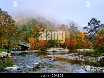 The Confluence Of Cedar Creek And Little River During Autumn In The Great Smoky Mountains National Park, Tennessee, USA Stock Photo