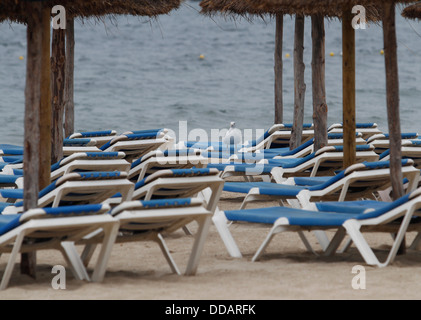 A seagull stands over sunbathing hammocks in the beach of Magaluf on the Spanish island during a summer rainy day Stock Photo