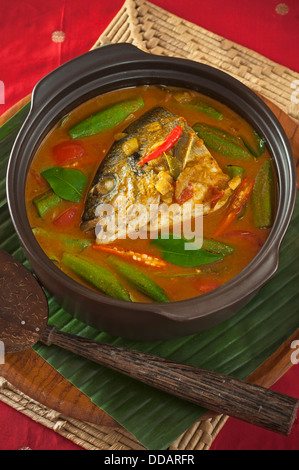 Singapore fish head curry Stock Photo
