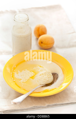 Bowl of porridge with peach and yoghurt on textured background Stock Photo