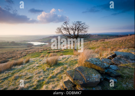 A landscape view over a typical Yorkshire Dales scene with dry stone wall in the foreground.