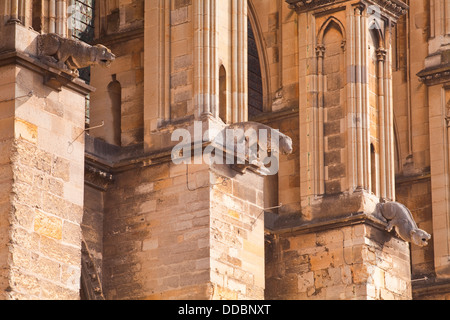 Gargoyles on the exterior of Notre Dame de Reims cathedral. Stock Photo