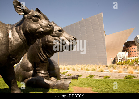 The Dan Ostermiller sculpture 'Scottish Angus Cow & Calf' at Denver Art Museum, Denver, CO, USA Stock Photo