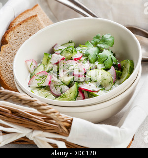 Salad with radishes and cucumbers Stock Photo