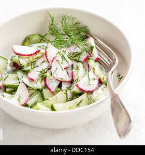 Spring salad with radishes and cucumbers Stock Photo