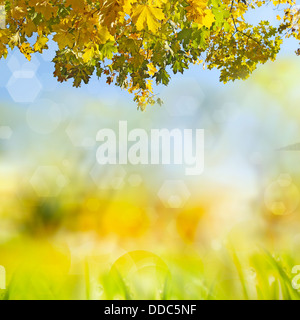 Empty wooden table for product display montages Stock Photo