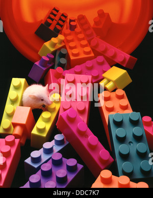 Mouse with Building Blocks Stock Photo