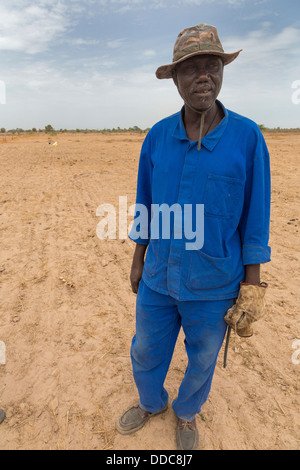 Millet Cultivation. Senior Family Member of the Family Owning the Land at this location.  Member of Serer ethnic group. Senegal. Stock Photo