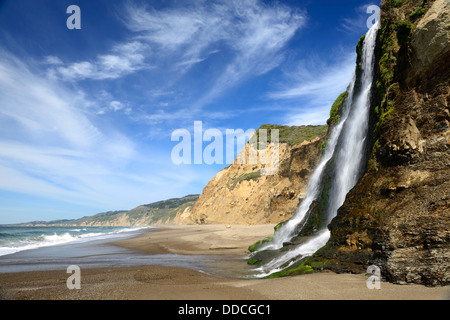 Alamere Falls waterfall tidefall wildcat beach point reyes national seashore marin headlands california pacific ocean Stock Photo