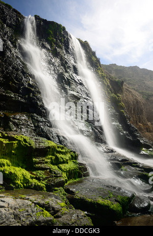 Alamere Falls waterfall tidefall wildcat beach point reyes national seashore marin headlands california pacific ocean Stock Photo