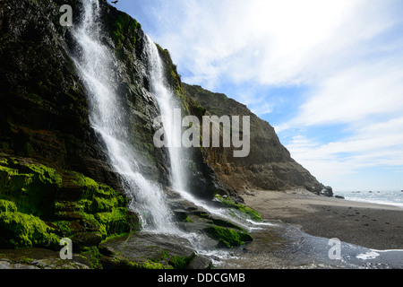 Alamere Falls waterfall tidefall wildcat beach point reyes national seashore marin headlands california pacific ocean Stock Photo