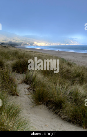 Sand dunes grass beach Drake's Bay Point Reyes National Seashore peninsula  San Francisco California USA sunset Stock Photo