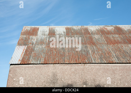 Rusty corrugated iron roof of outbuilding against blue sky Stock Photo