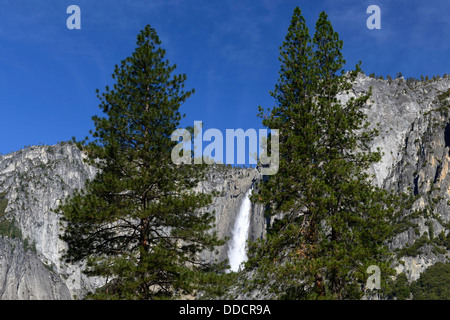Yosemite falls view viewed through trees yosemite valley national park california waterfall Stock Photo