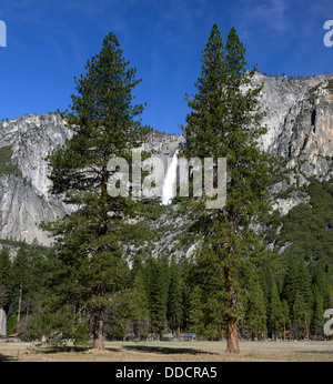 Yosemite falls view viewed through trees yosemite valley national park california waterfall Stock Photo