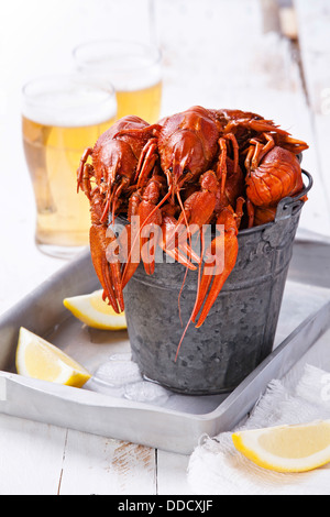 Red lobsters with beer on white background Stock Photo