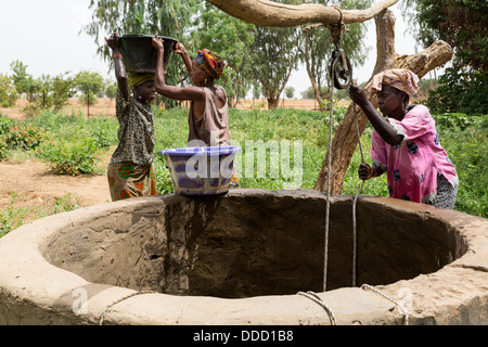 Wolof Women Drawing Water from Well to Irrigate Vegetable Garden. Dialacouna Gardening Project, near Kaolack, Senegal.  An Africare project. Stock Photo