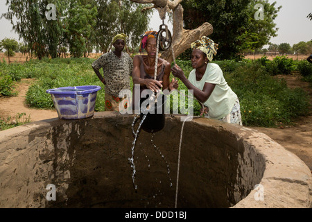 Wolof Women Drawing Water from Well to Irrigate Vegetable Garden. Dialacouna Gardening Project, near Kaolack, Senegal.  An Africare project. Stock Photo