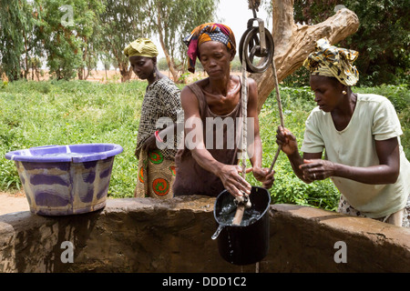 Wolof Women Drawing Water from Well to Irrigate Vegetable Garden. Dialacouna Gardening Project, near Kaolack, Senegal.  An Africare project. Stock Photo