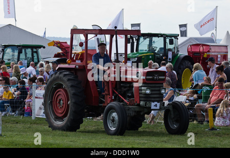 A old Massey Ferguson tractor on display at the Bucks County show Stock Photo