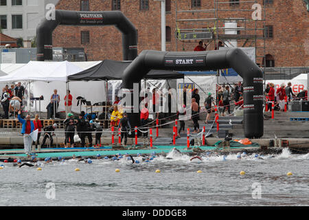 Copenhagen, Denmark. 31st Aug, 2013. 2,400 swim round the Parliament building, the Christiansborg Castle or Palace in central Copenhagen in the 2,000 m largest annual open water competition in Denmark, the Copenhagen Swim, organised by the Danish Swimming Federation and the newspaper Politiken. Credit:  Niels Quist/Alamy Live News Stock Photo