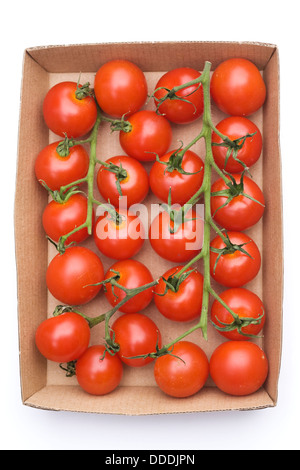 Lycopersicon esculentum. Small cherry tomatoes in a card tray. Stock Photo