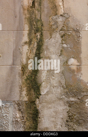 weathered mossy brick wall texture Stock Photo