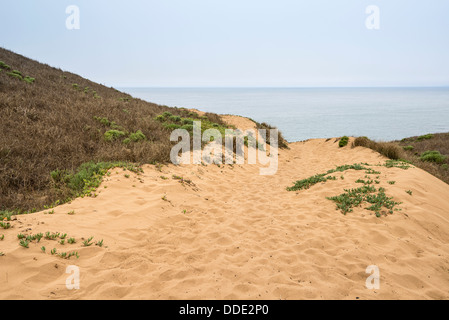 Sand dunes in Montana de Oro State Park near Pacific Coast Highway 1 ...