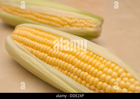Detail of Corn Cobs on Wooden Table - Shallow Depth of Field Stock Photo
