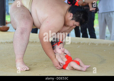 Wrestlers and babies take part in a sumo event at Matsuo Taisha Shrine in Kyoto, Japan. Stock Photo