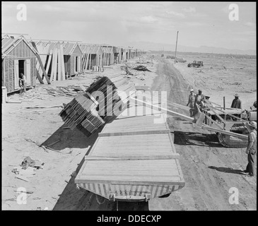 Poston, Arizona. Unloading lumber with bulldozer in the construction of barracks for evacuees of Ja . . . 536071 Stock Photo