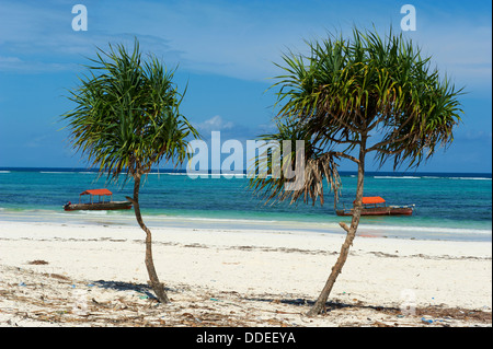 Tanzania, Zanzibar island, Unguja, Matemwe beach, Rock restaurant Stock ...