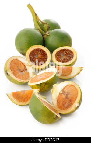 raw betel nut on white background Stock Photo