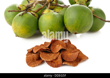 Dried Betel Nut Stock Photo