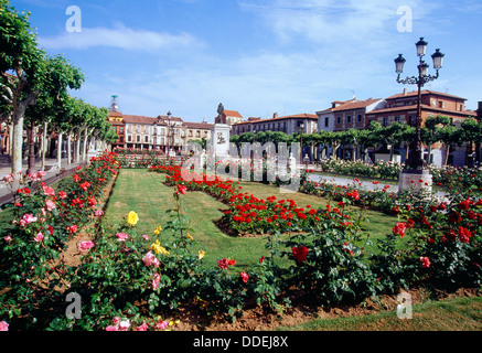 Cervantes Square. Alcala de Henares, Madrid province, Spain. Stock Photo