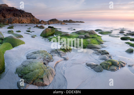 Porth Nanven, Cot Valley beach, Cornwall at sunset Stock Photo