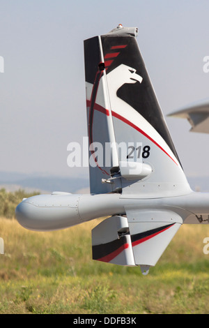 Israeli Air force (IAF) IAI Heron TP (IAI Eitan) an Unmanned Aerial Vehicle (UAV) Stock Photo
