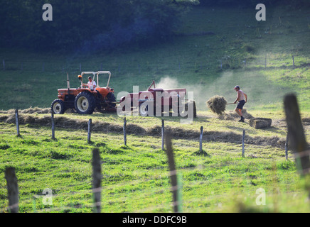 Hay baling, tractor collecting and making hay on a farm in France Stock Photo